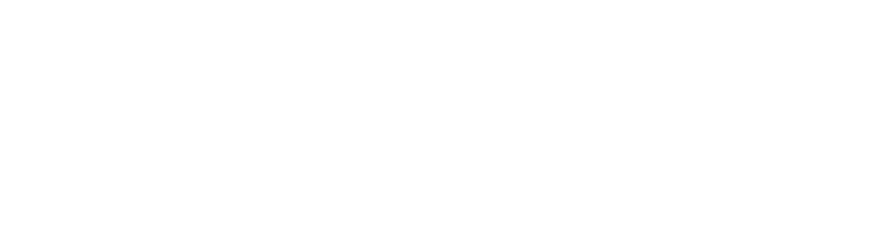 Q'nique 21